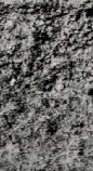 Snippet of graph type