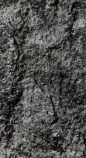 Snippet of graph type