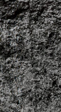 Snippet of graph type