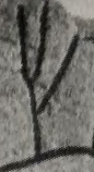 Snippet of graph type