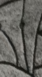 Snippet of graph type