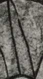 Snippet of graph type