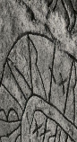 Snippet of graph type