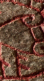 Snippet of graph type