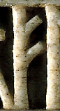 Snippet of graph type