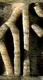 Snippet of graph type