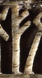 Snippet of graph type