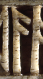 Snippet of graph type