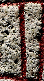 Snippet of graph type