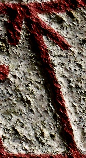 Snippet of graph type