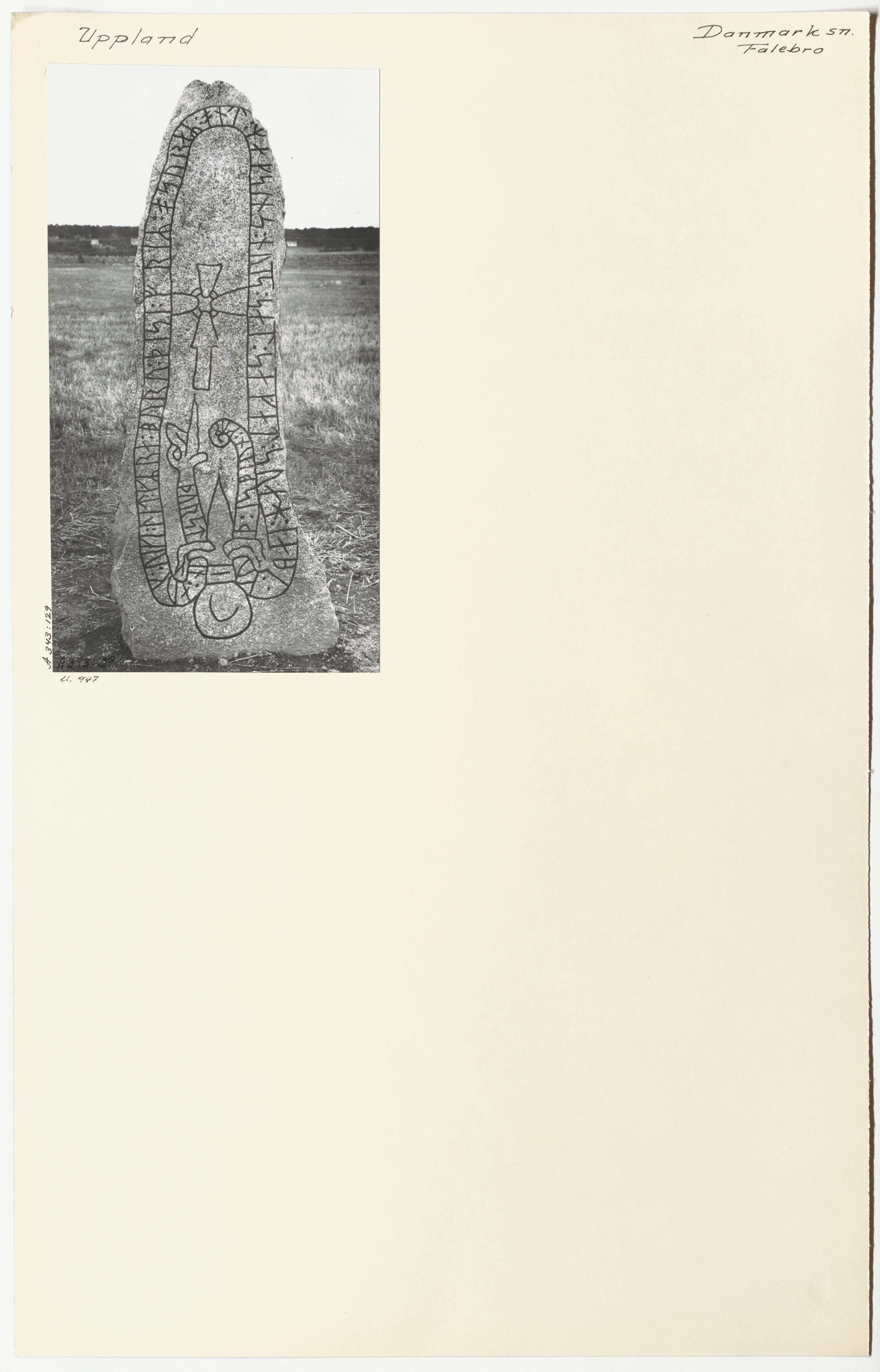 Picture of find