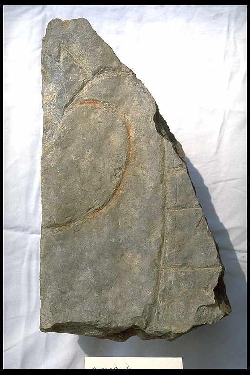 Picture of find