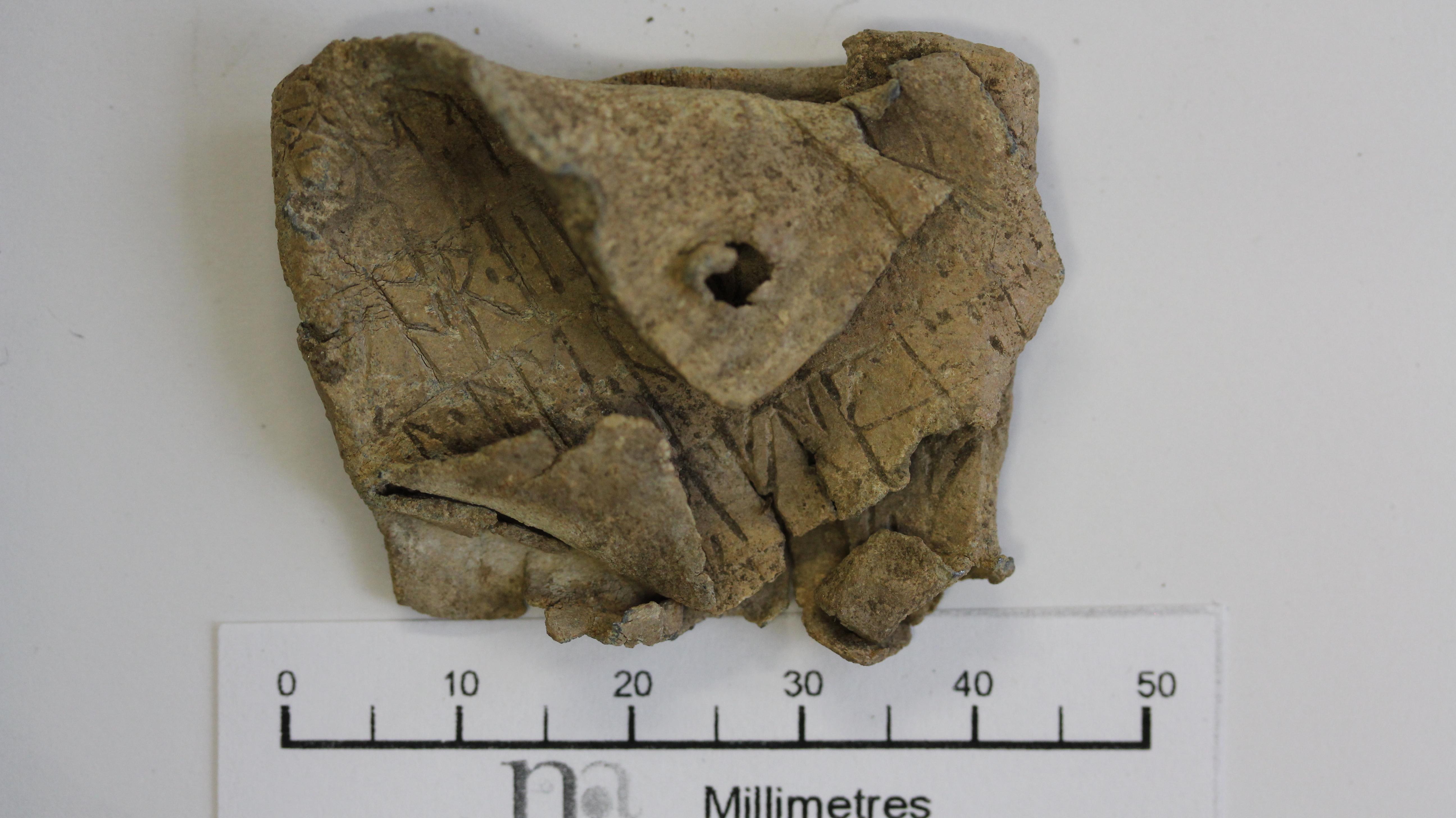 Picture of find