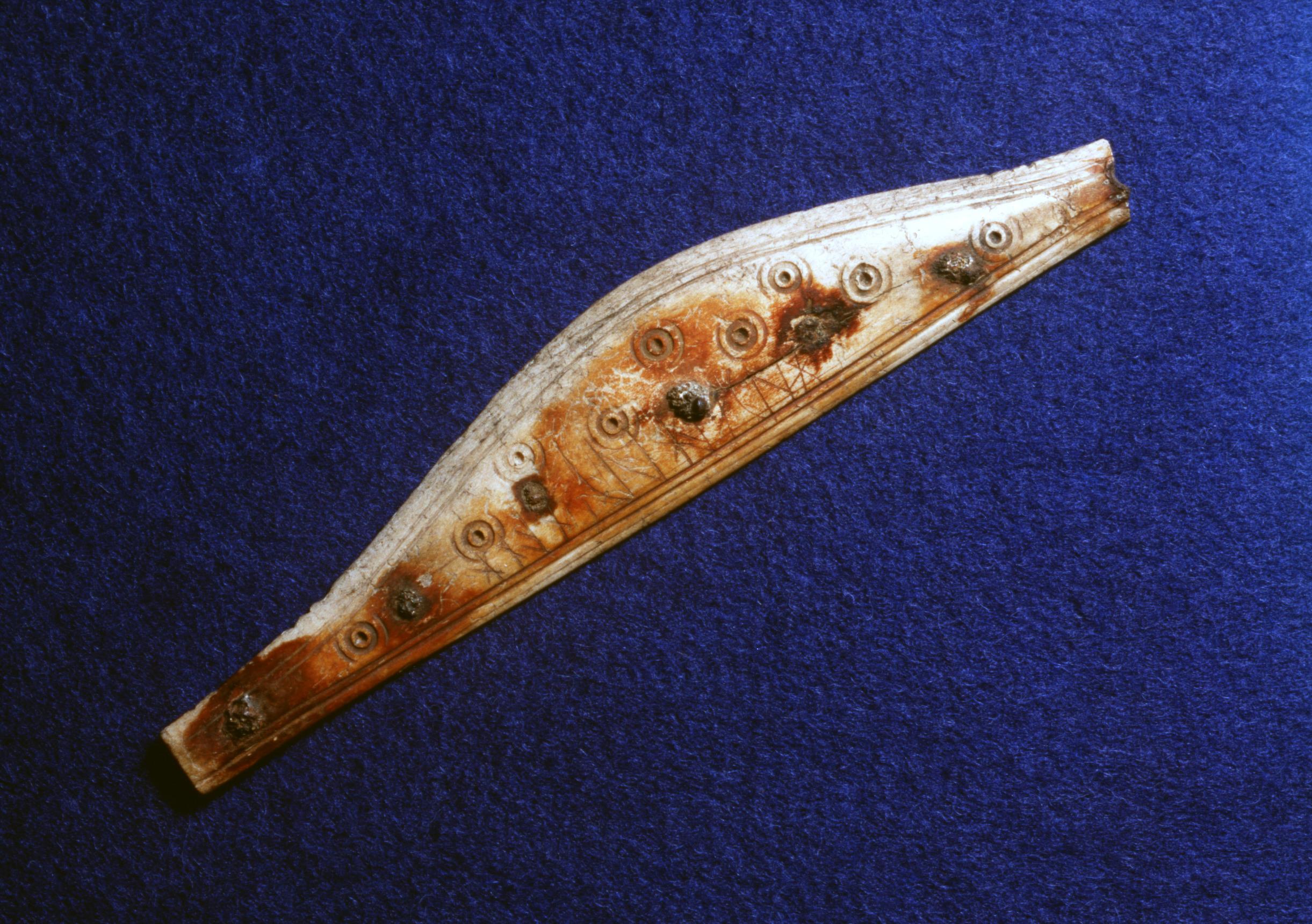 Picture of find