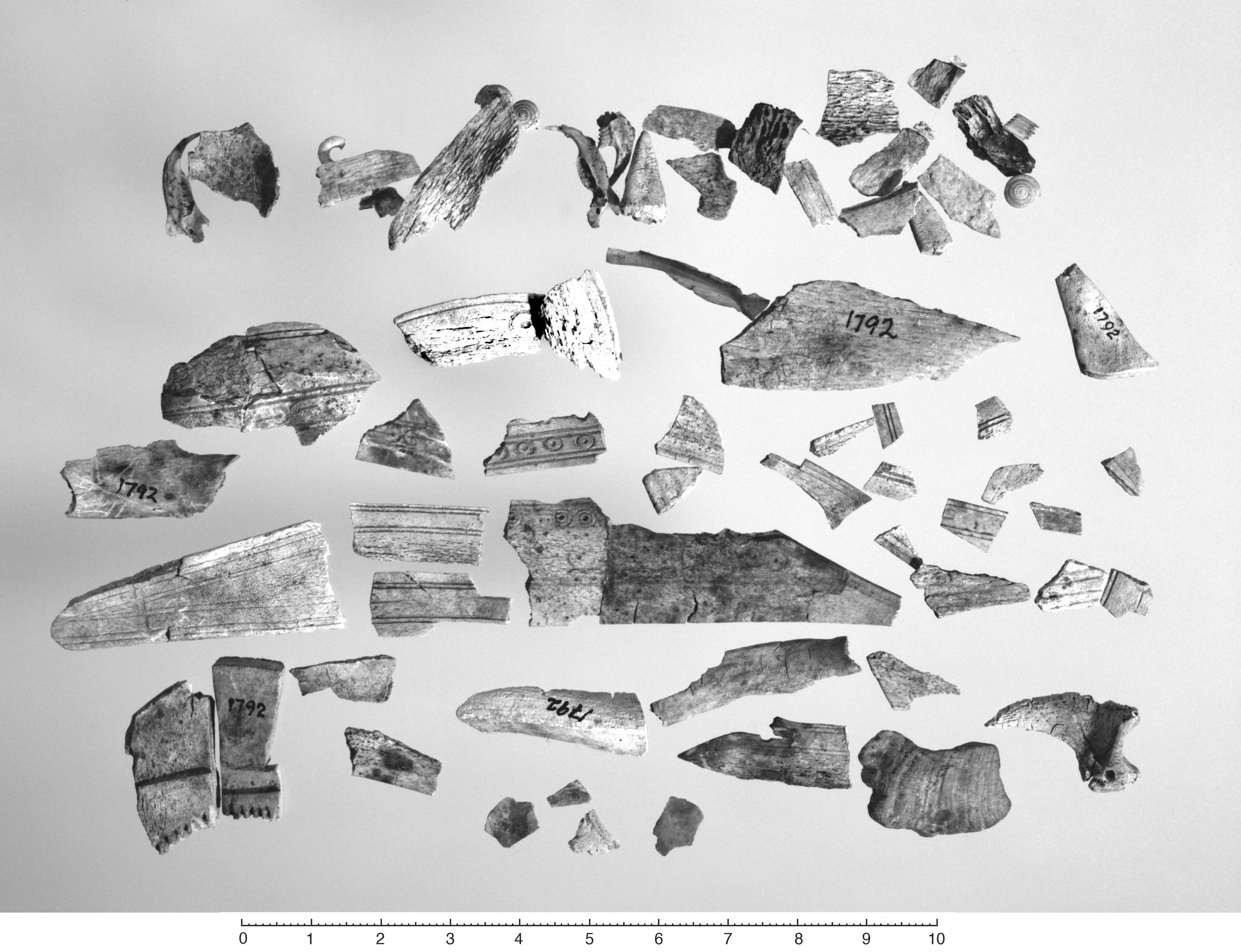 Picture of find