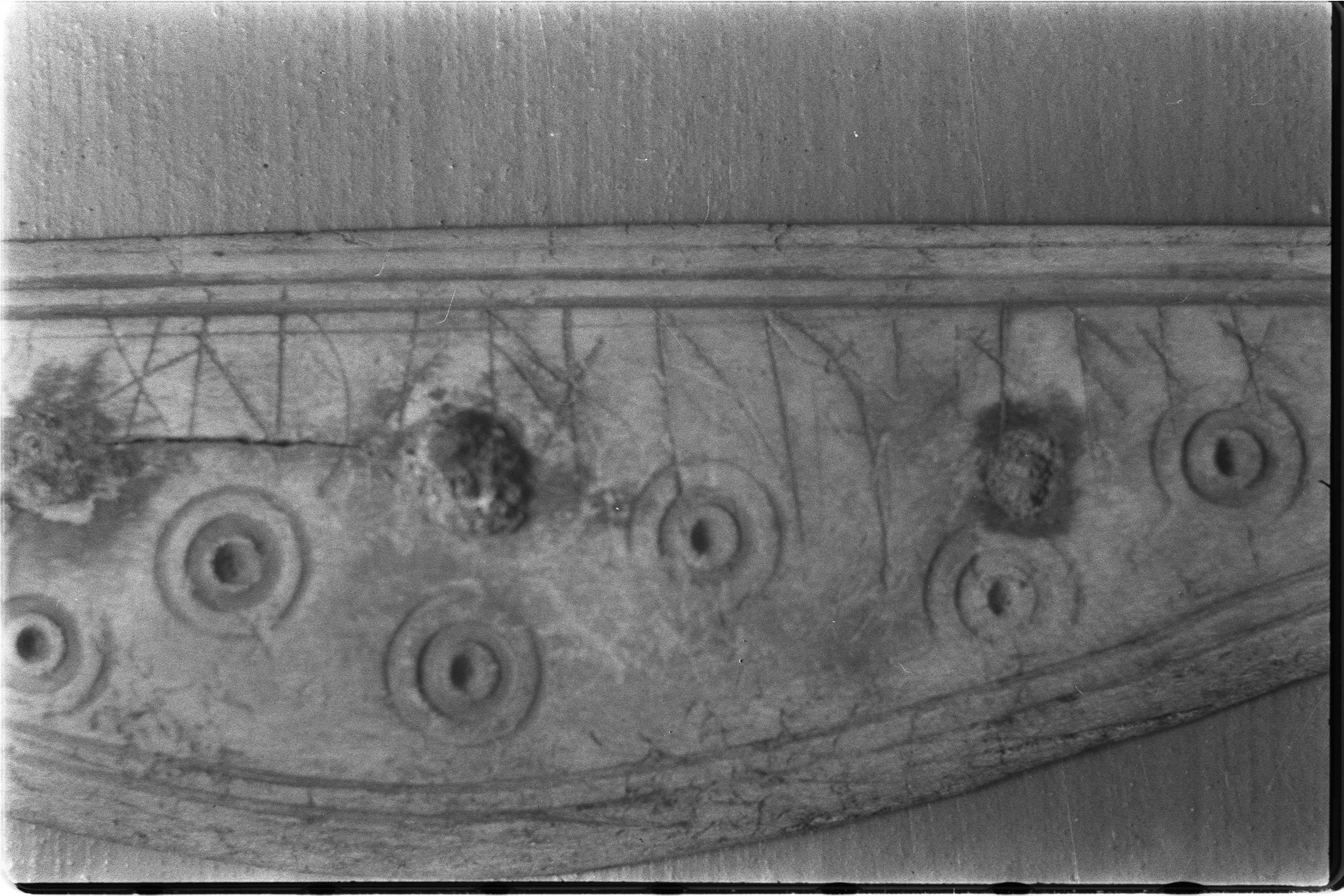 Picture of find