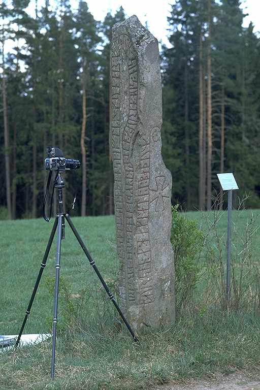 Bild des Fundes